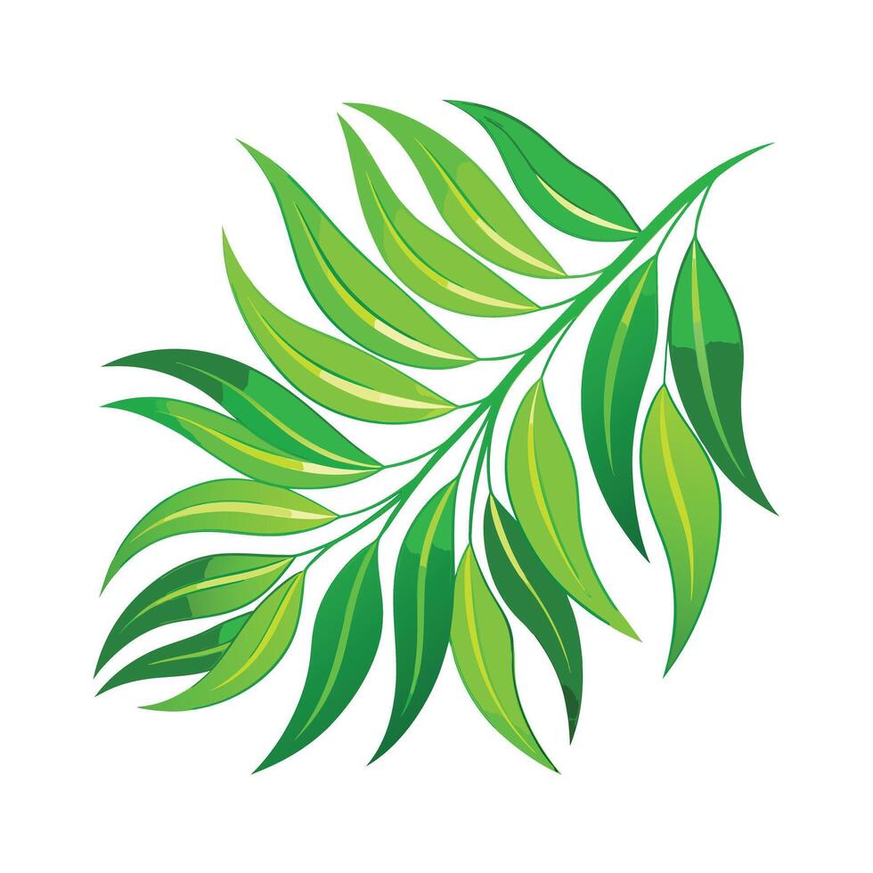 Realistic Beautiful Leaves Illustration vector