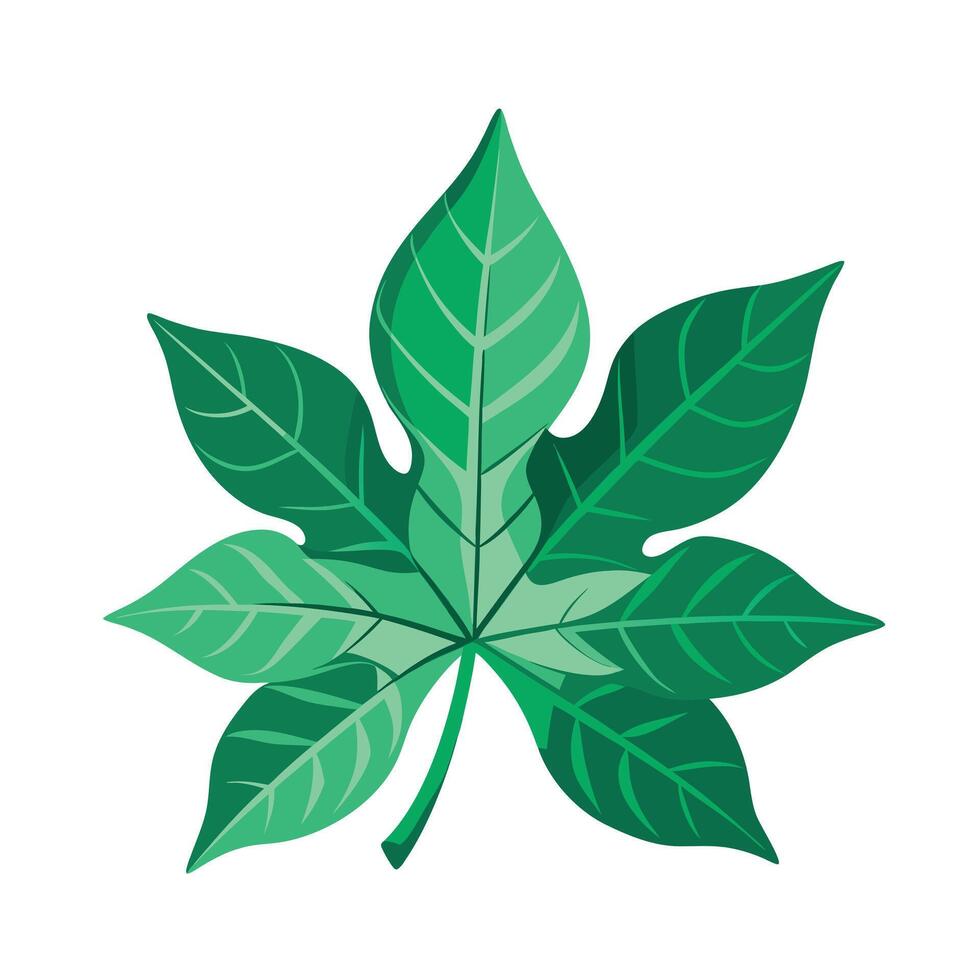 Realistic Beautiful Leaves Illustration vector