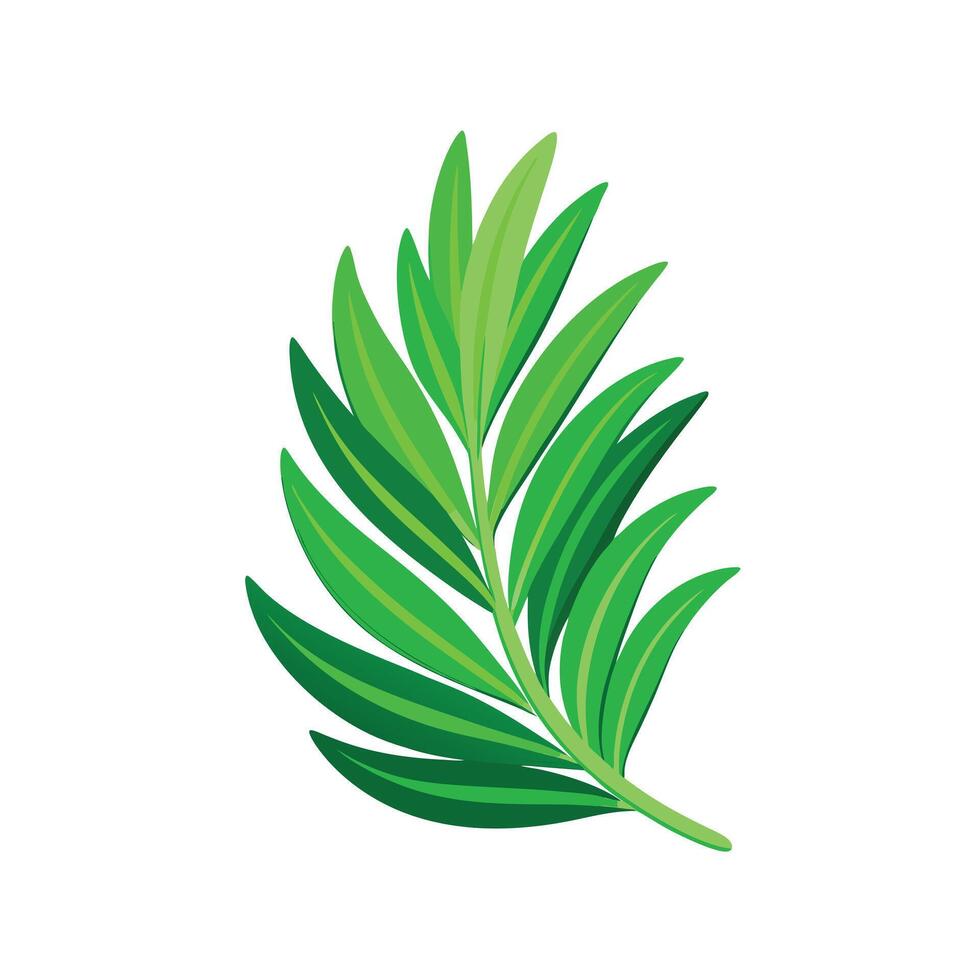 Realistic Beautiful Leaves Illustration vector