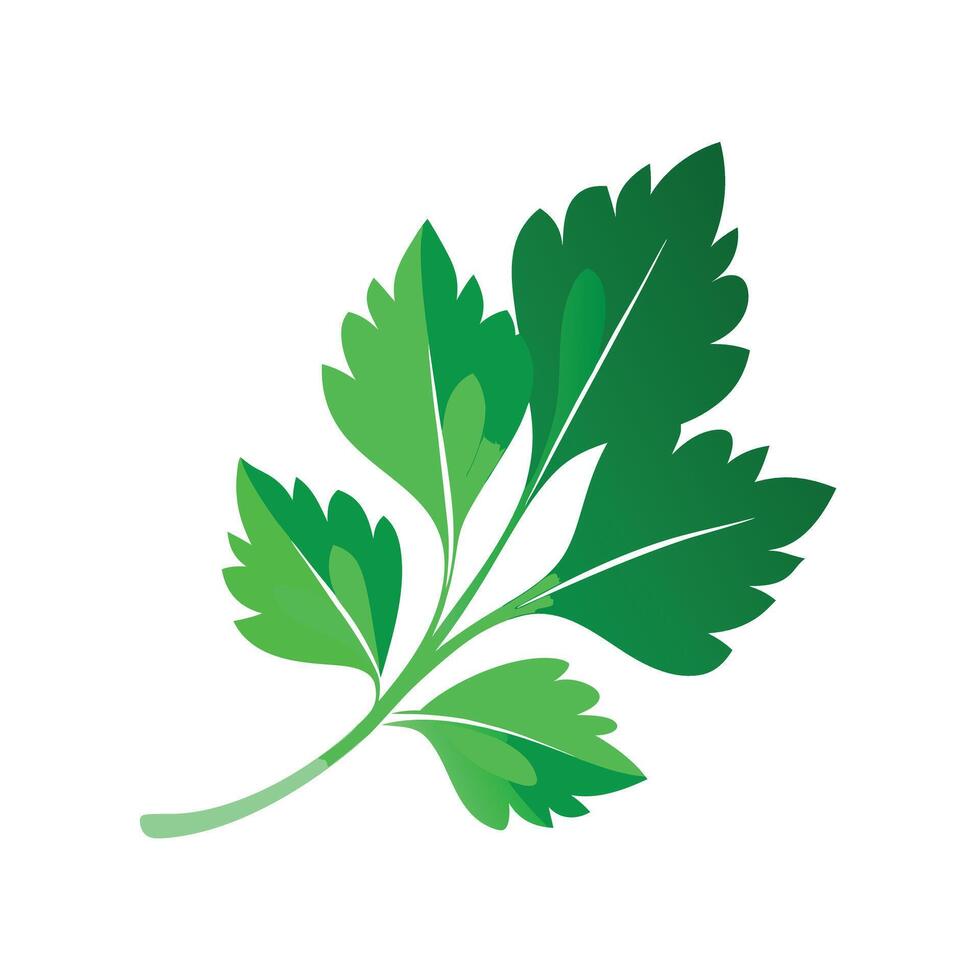 Realistic Beautiful Leaves Illustration vector