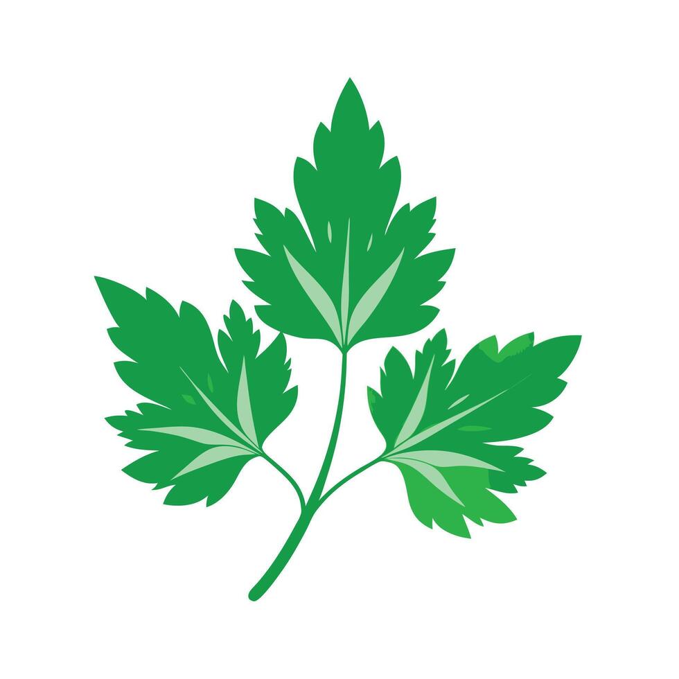 Realistic Beautiful Leaves Illustration vector