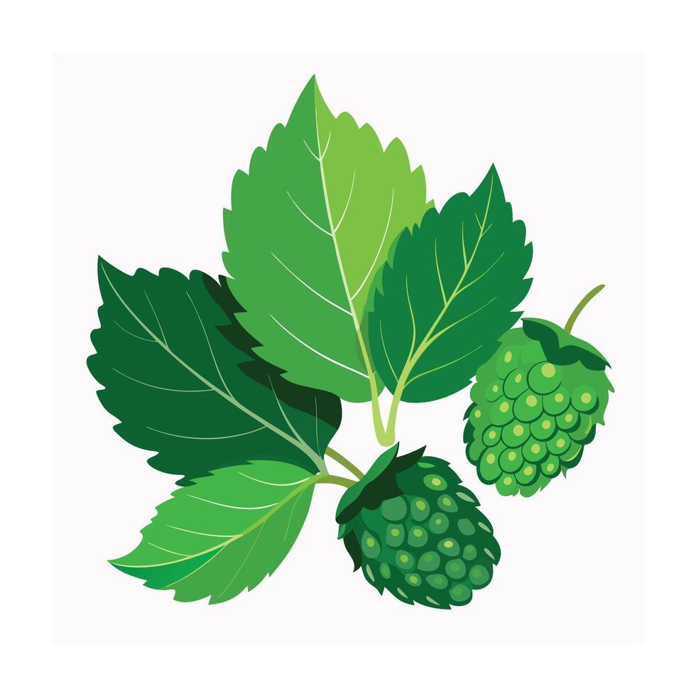 Realistic Beautiful Leaves Illustration vector