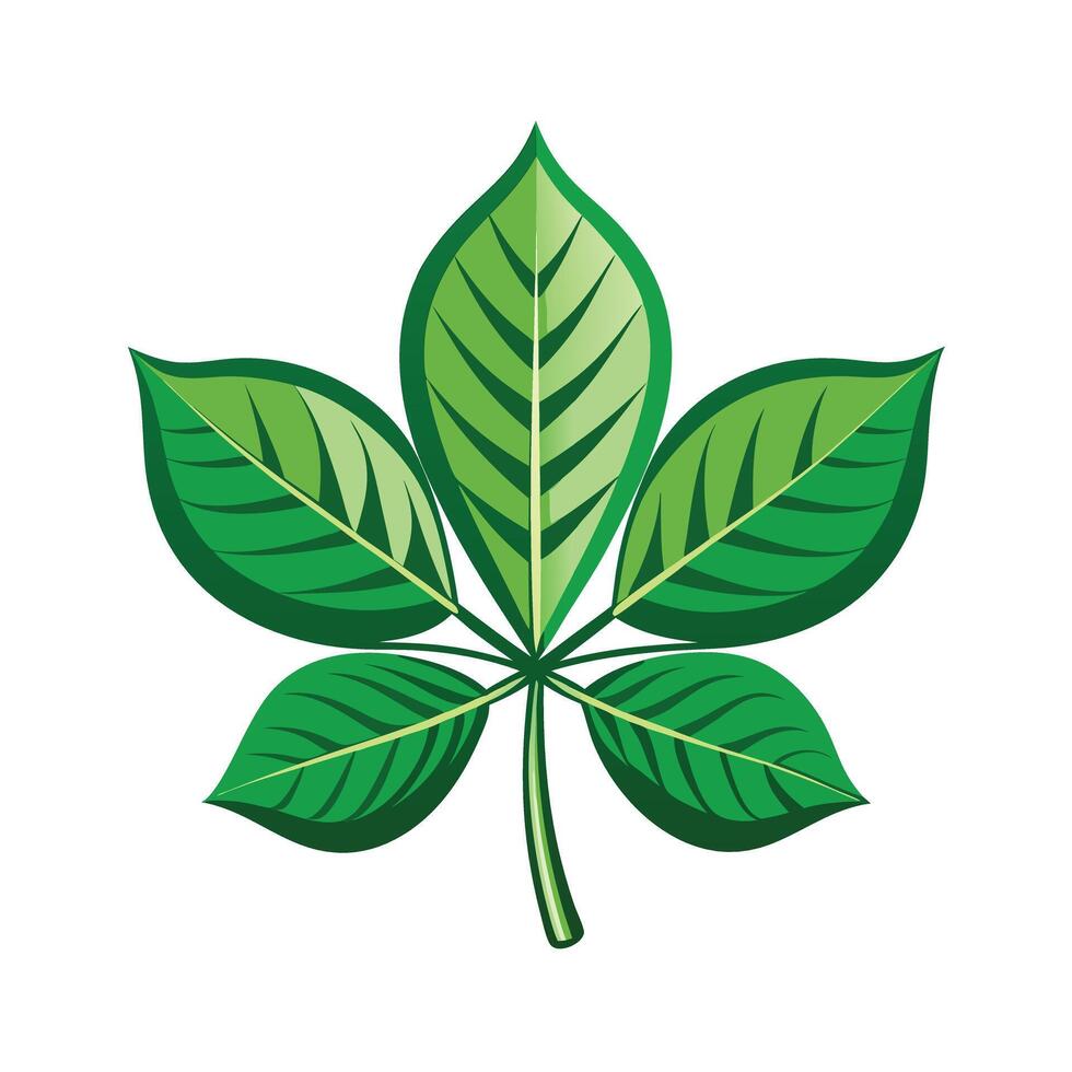 Realistic Beautiful Leaves Illustration vector