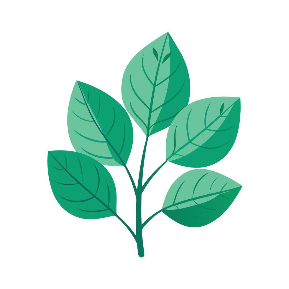 Realistic Beautiful Leaves Illustration vector