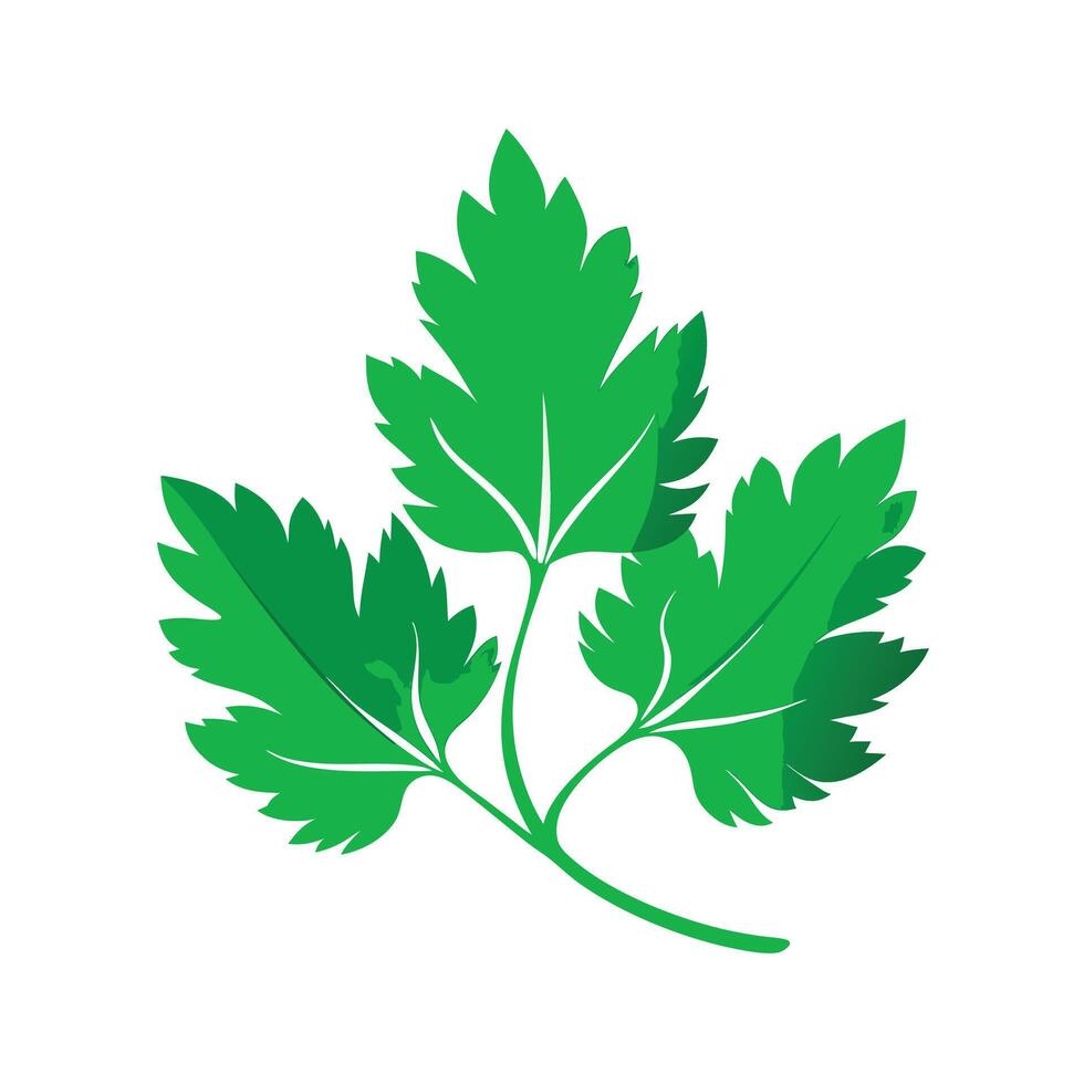 Realistic Beautiful Leaves Illustration vector