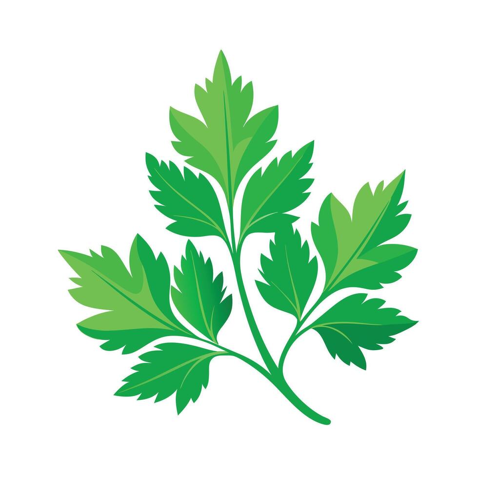 Realistic Beautiful Leaves Illustration vector