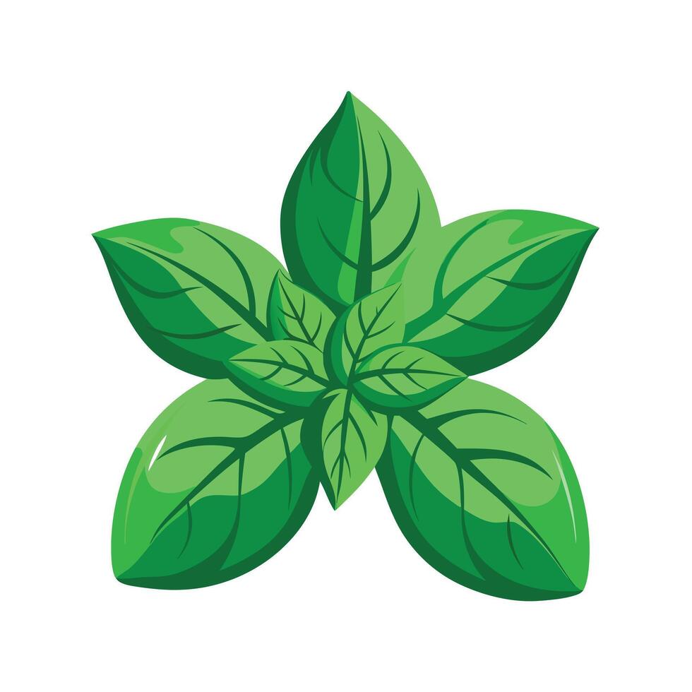 Realistic Beautiful Leaves Illustration vector