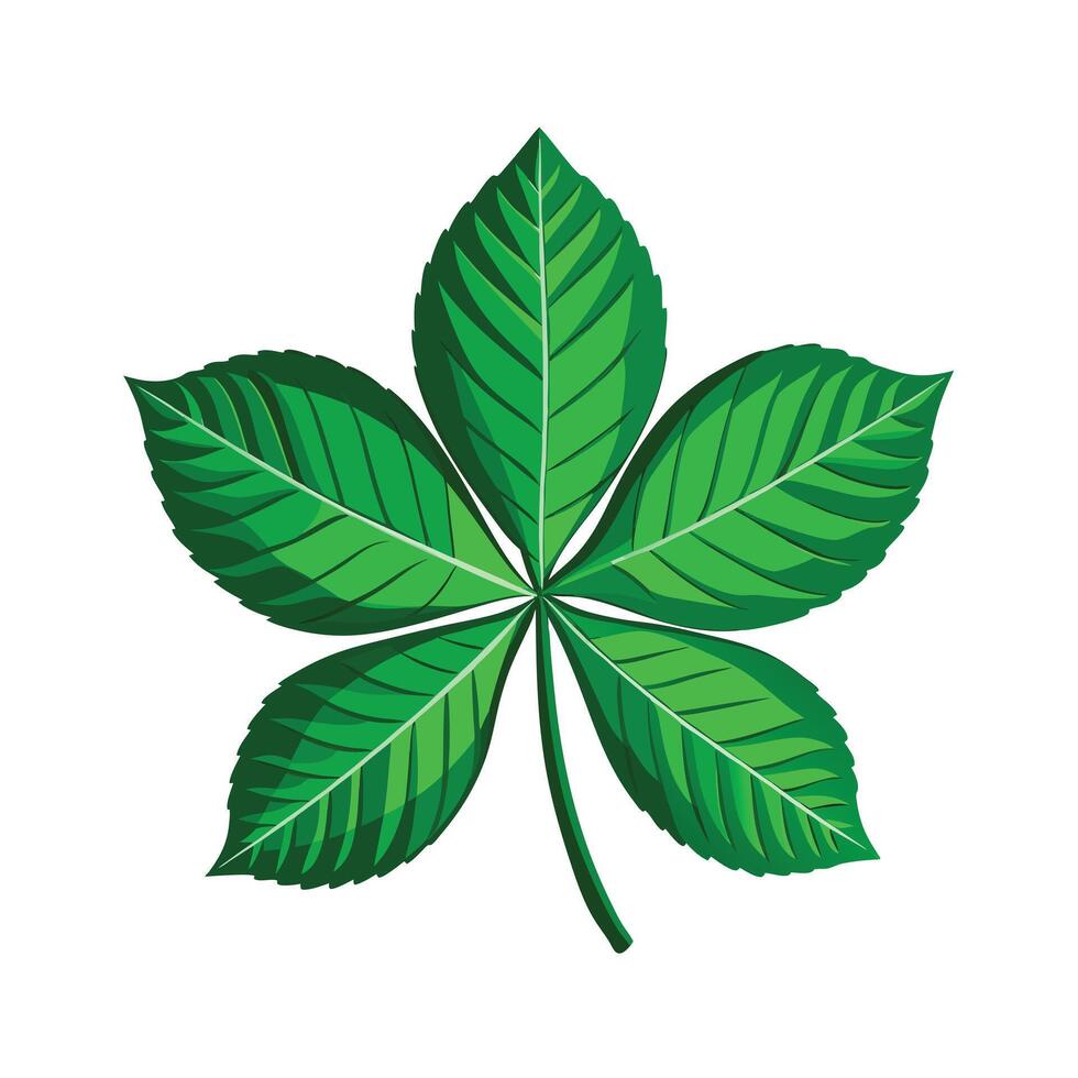 Realistic Beautiful Leaves Illustration vector