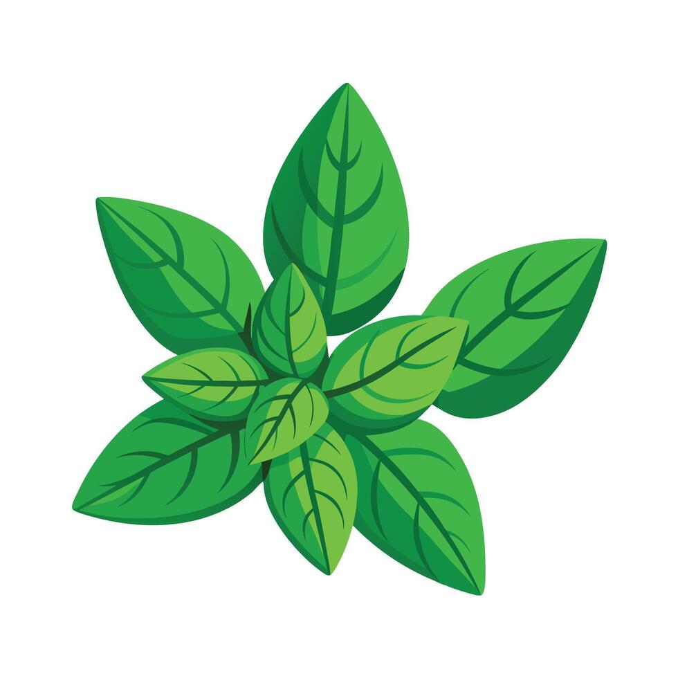 Realistic Beautiful Leaves Illustration vector