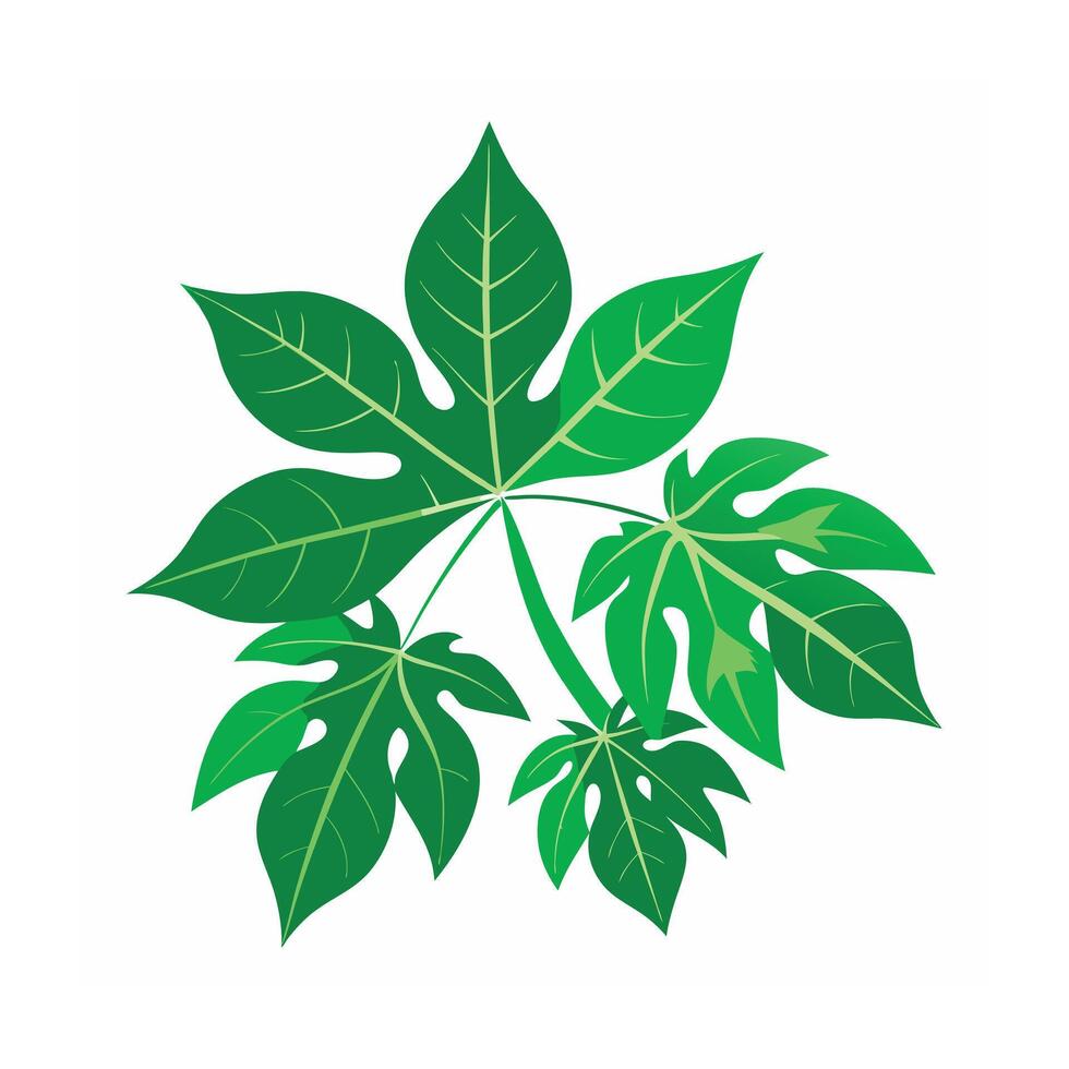 Realistic Beautiful Leaves Illustration vector