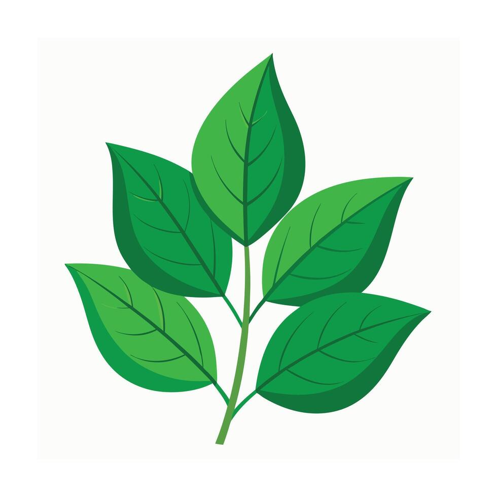 Realistic Beautiful Leaves Illustration vector