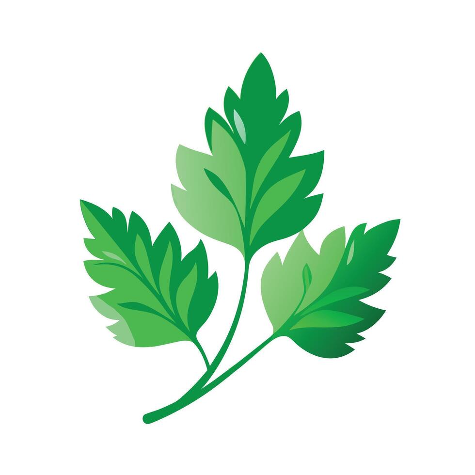 Realistic Beautiful Leaves Illustration vector