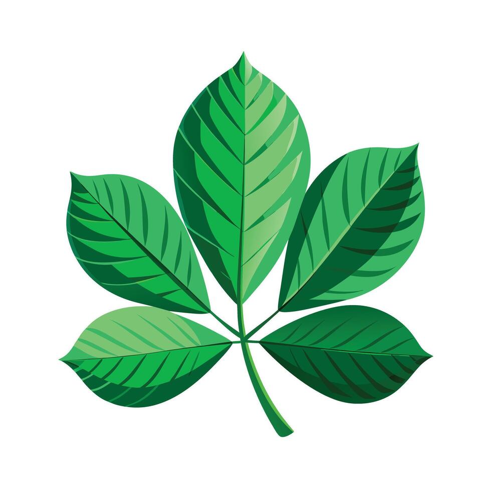 Realistic Beautiful Leaves Illustration vector