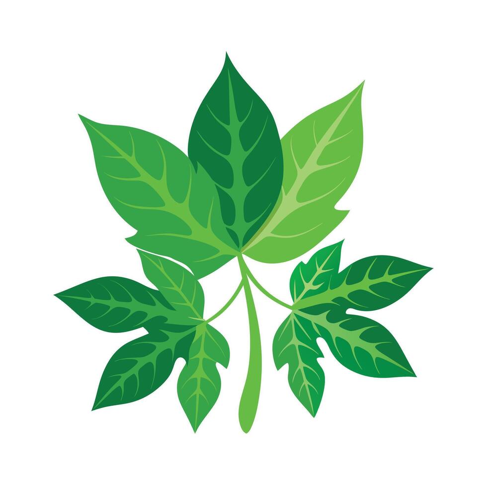 Realistic Beautiful Leaves Illustration vector