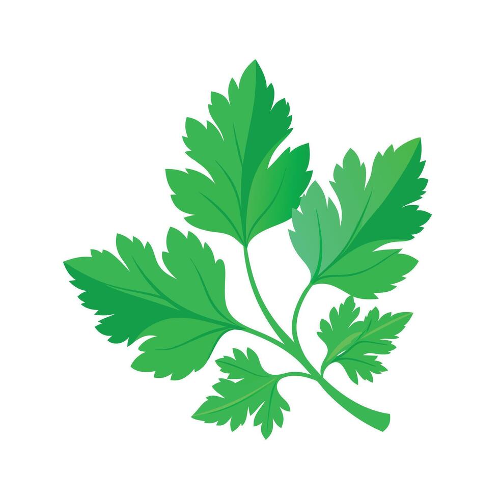 Realistic Beautiful Leaves Illustration vector