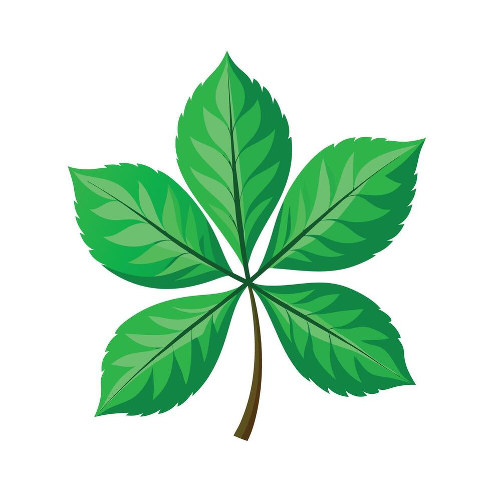 Realistic Beautiful Leaves Illustration vector