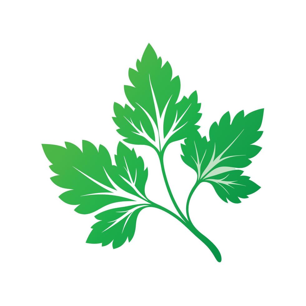 Realistic Beautiful Leaves Illustration vector