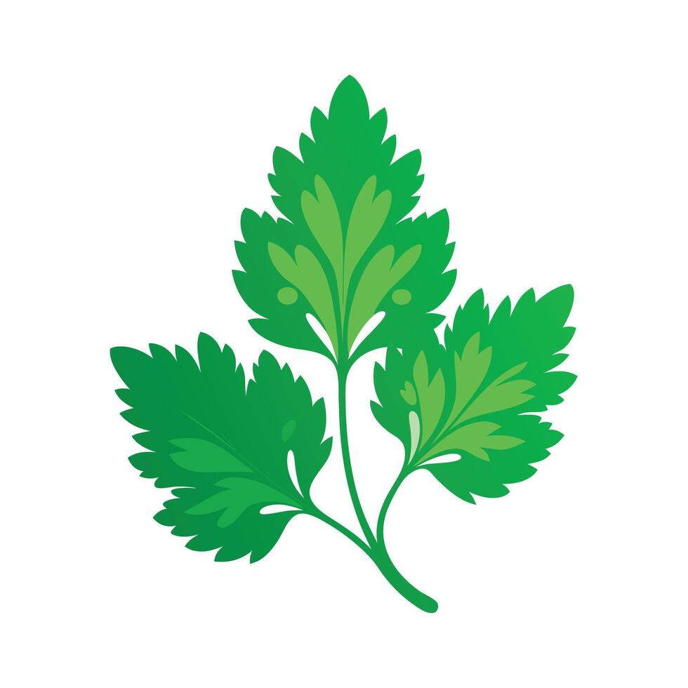 Realistic Beautiful Leaves Illustration vector