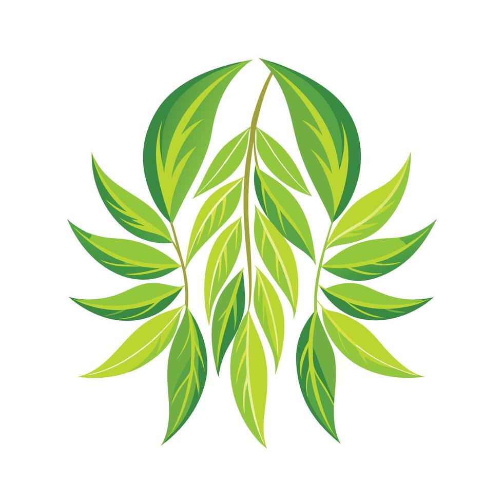 Realistic Beautiful Leaves Illustration vector