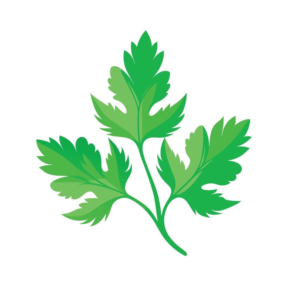 Realistic Beautiful Leaves Illustration vector