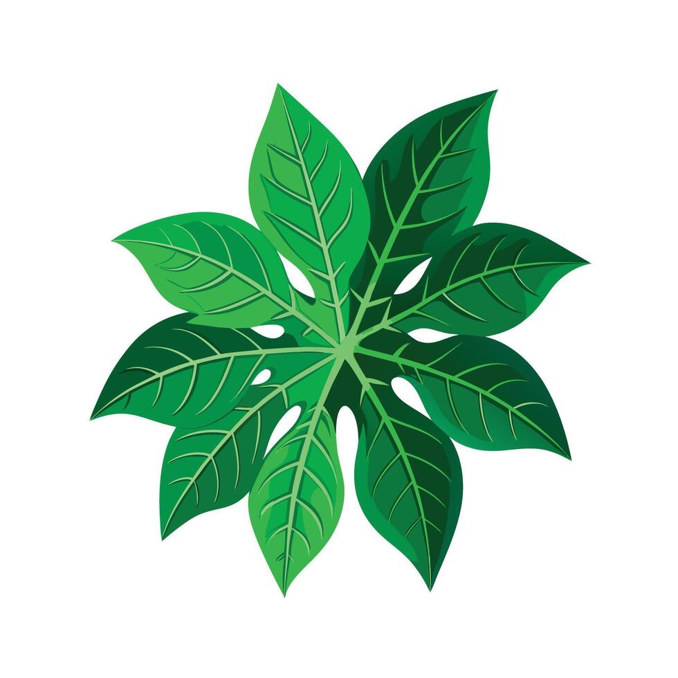 Realistic Beautiful Leaves Illustration vector