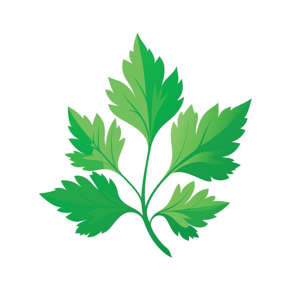 Realistic Beautiful Leaves Illustration vector