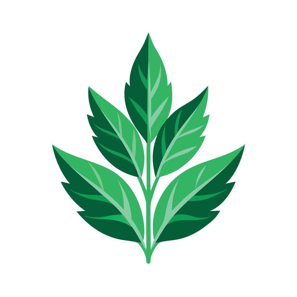 Realistic Beautiful Leaves Illustration vector