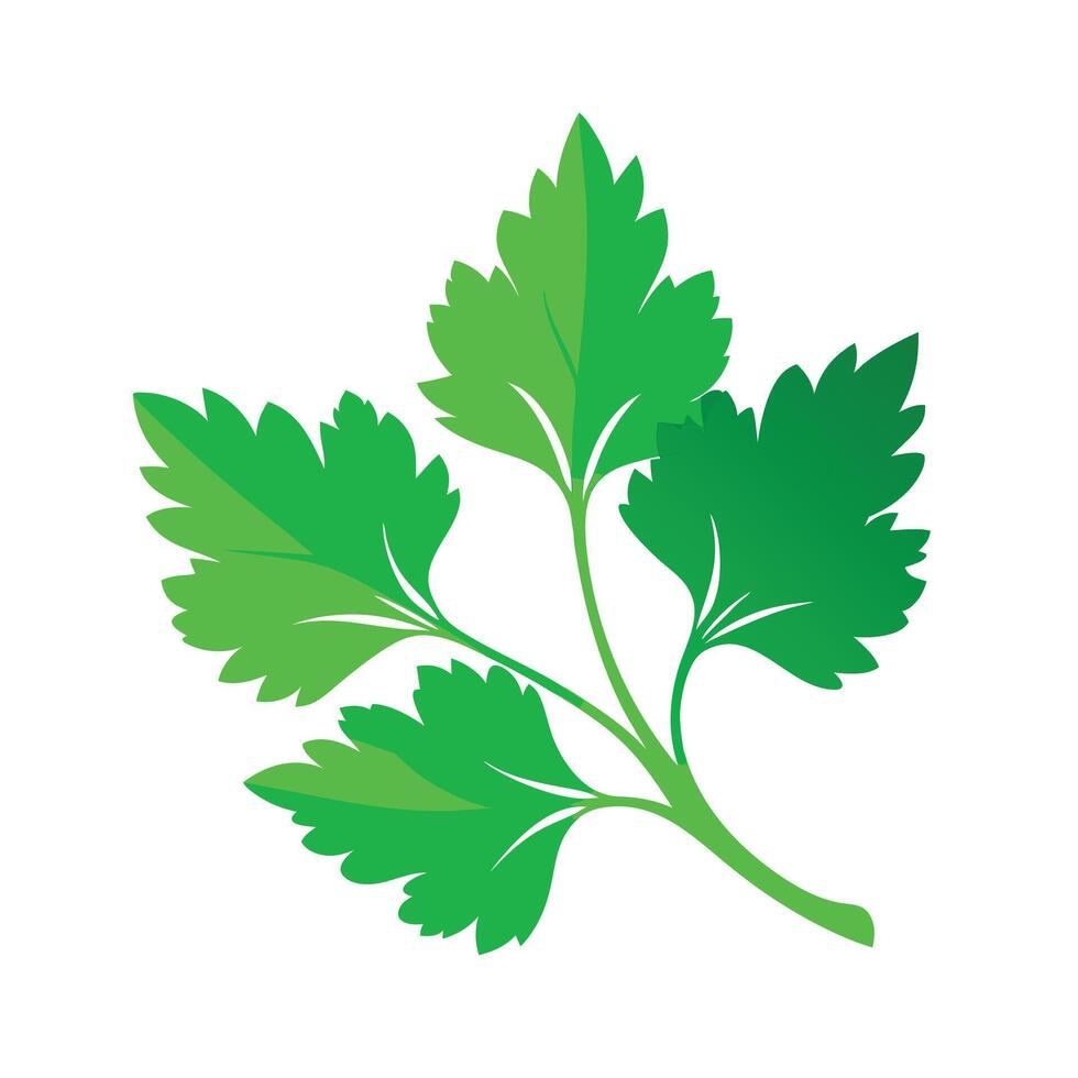 Realistic Beautiful Leaves Illustration vector