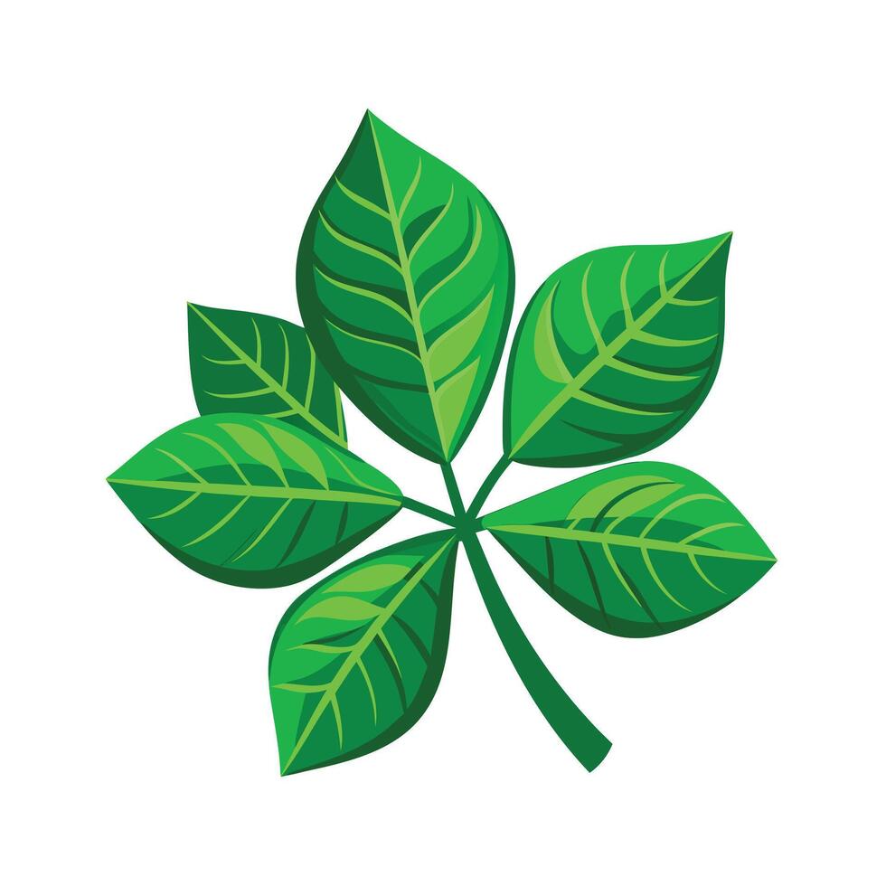 Realistic Beautiful Leaves Illustration vector