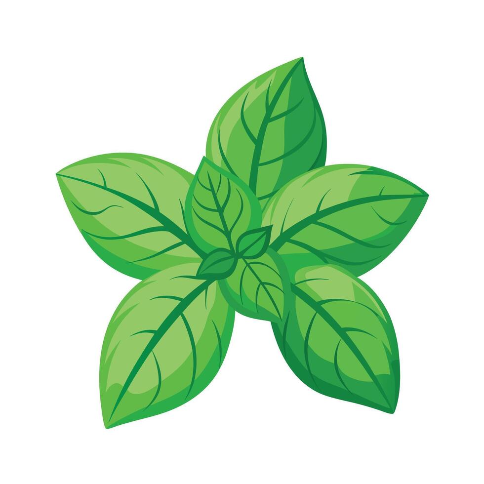 Realistic Beautiful Leaves Illustration vector