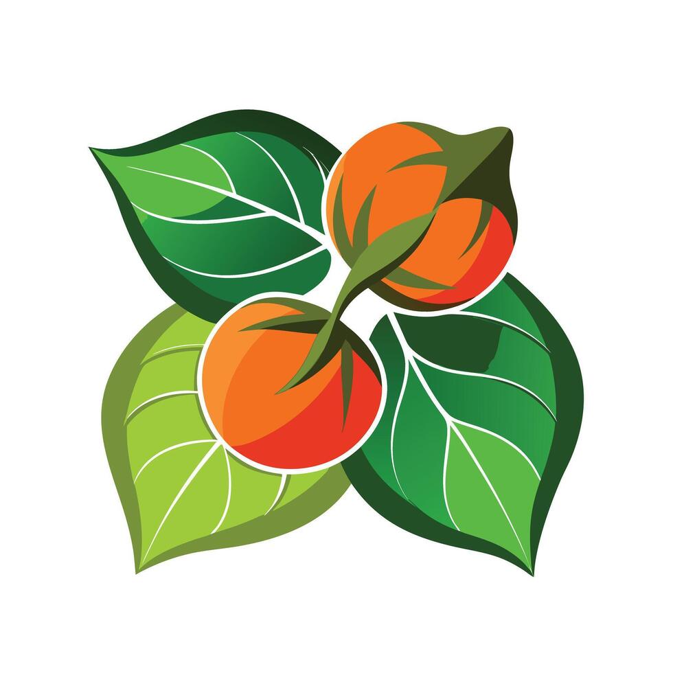 Realistic Beautiful Leaves Illustration vector