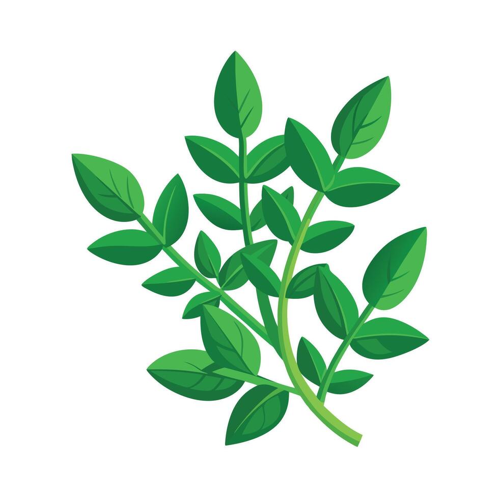 Realistic Beautiful Leaves Illustration vector