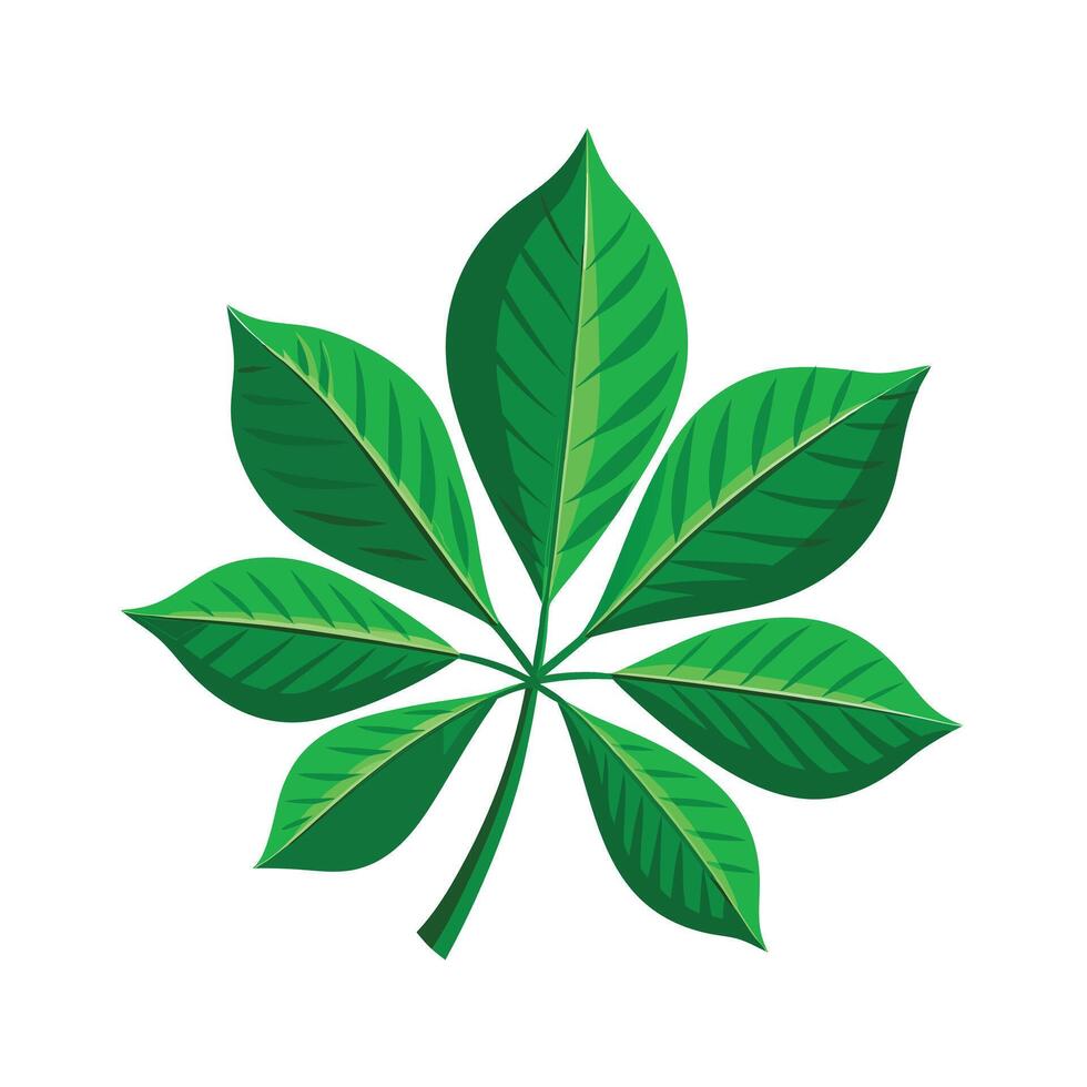 Realistic Beautiful Leaves Illustration vector
