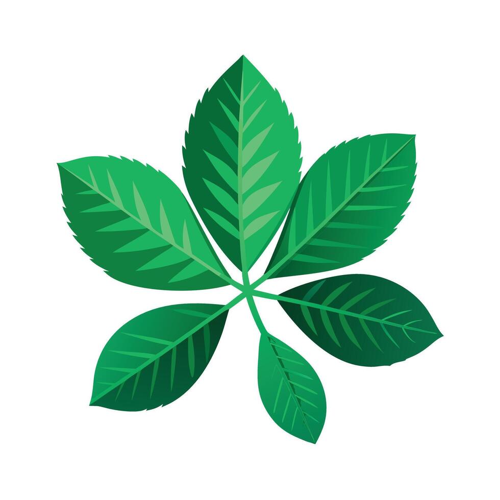 Realistic Beautiful Leaves Illustration vector