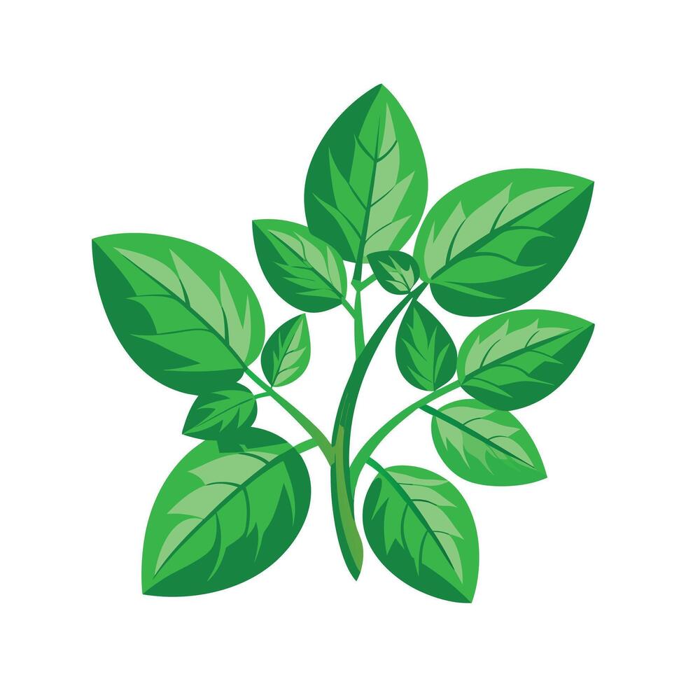 Realistic Beautiful Leaves Illustration vector