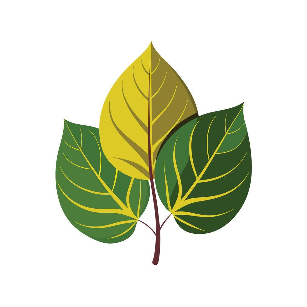 Realistic Beautiful Leaves Illustration vector
