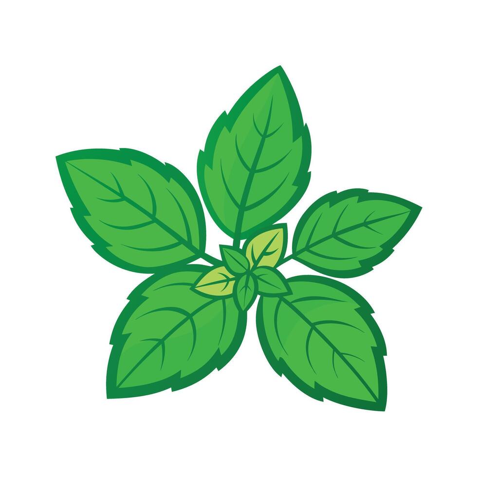 Realistic Beautiful Leaves Illustration vector