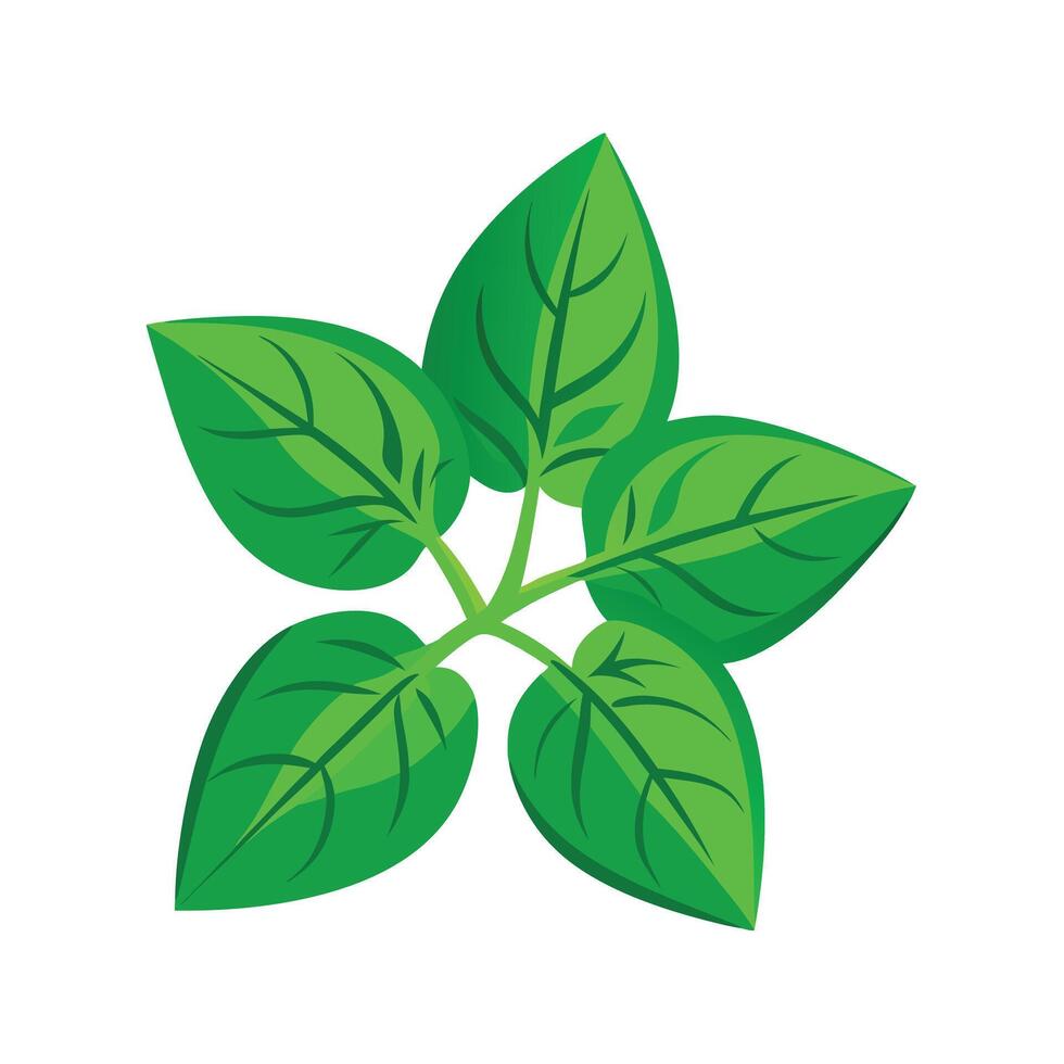 Realistic Beautiful Leaves Illustration vector