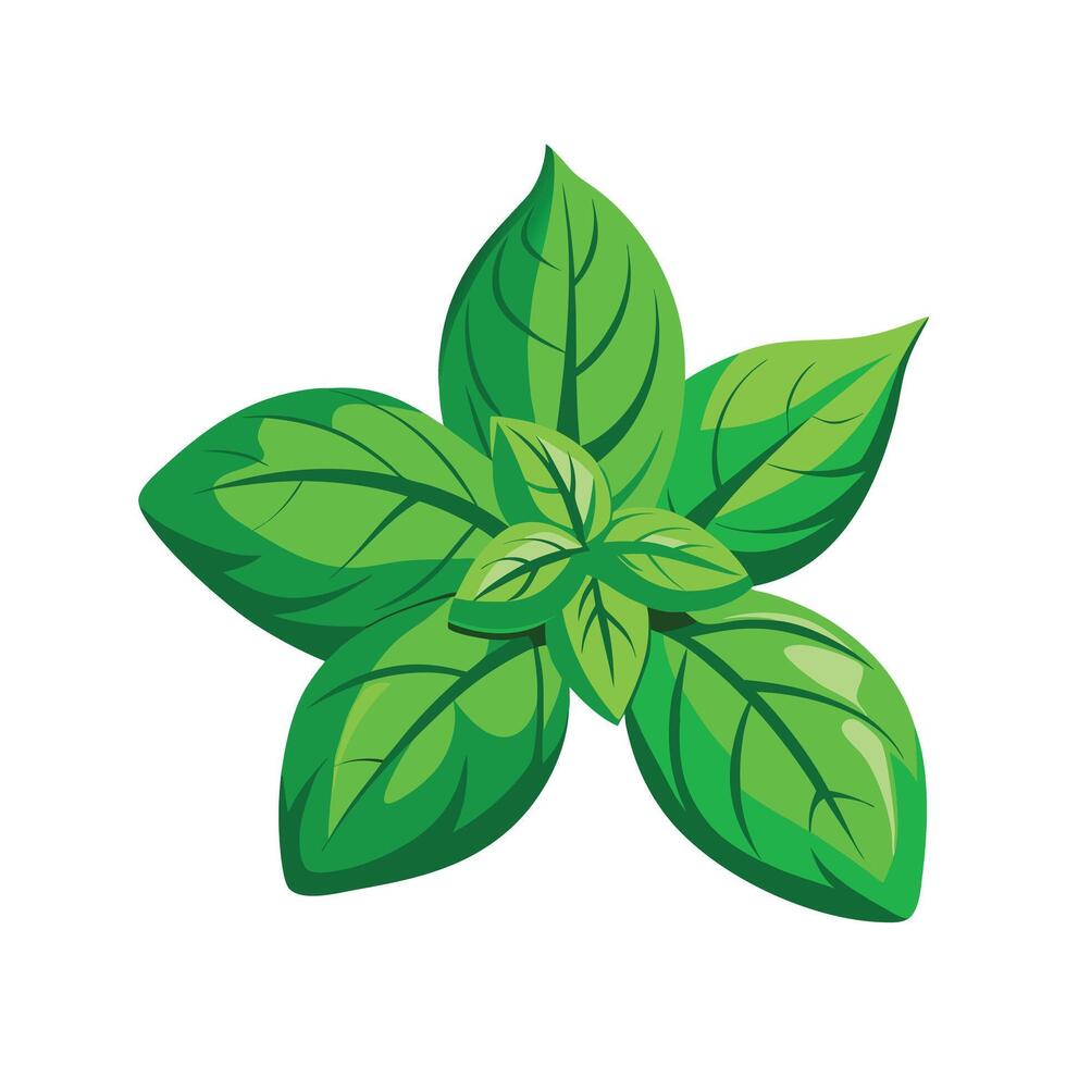 Realistic Beautiful Leaves Illustration vector