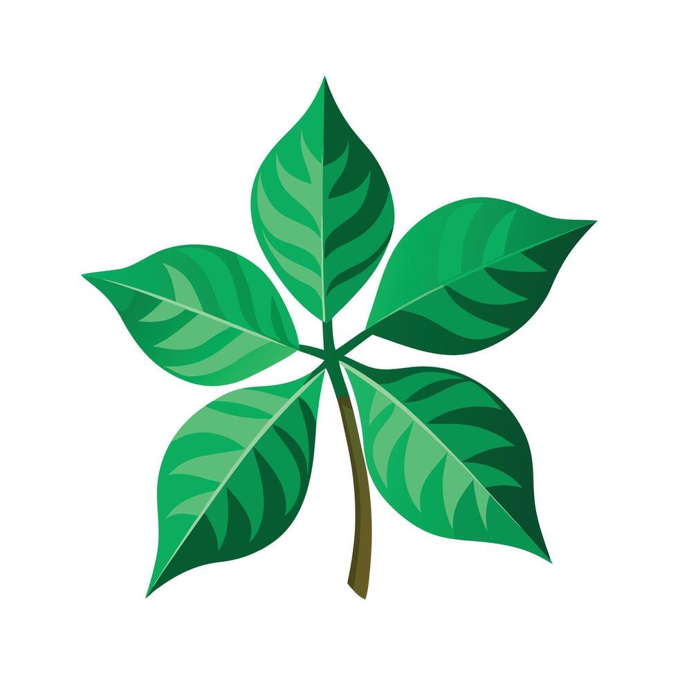 Realistic Beautiful Leaves Illustration vector