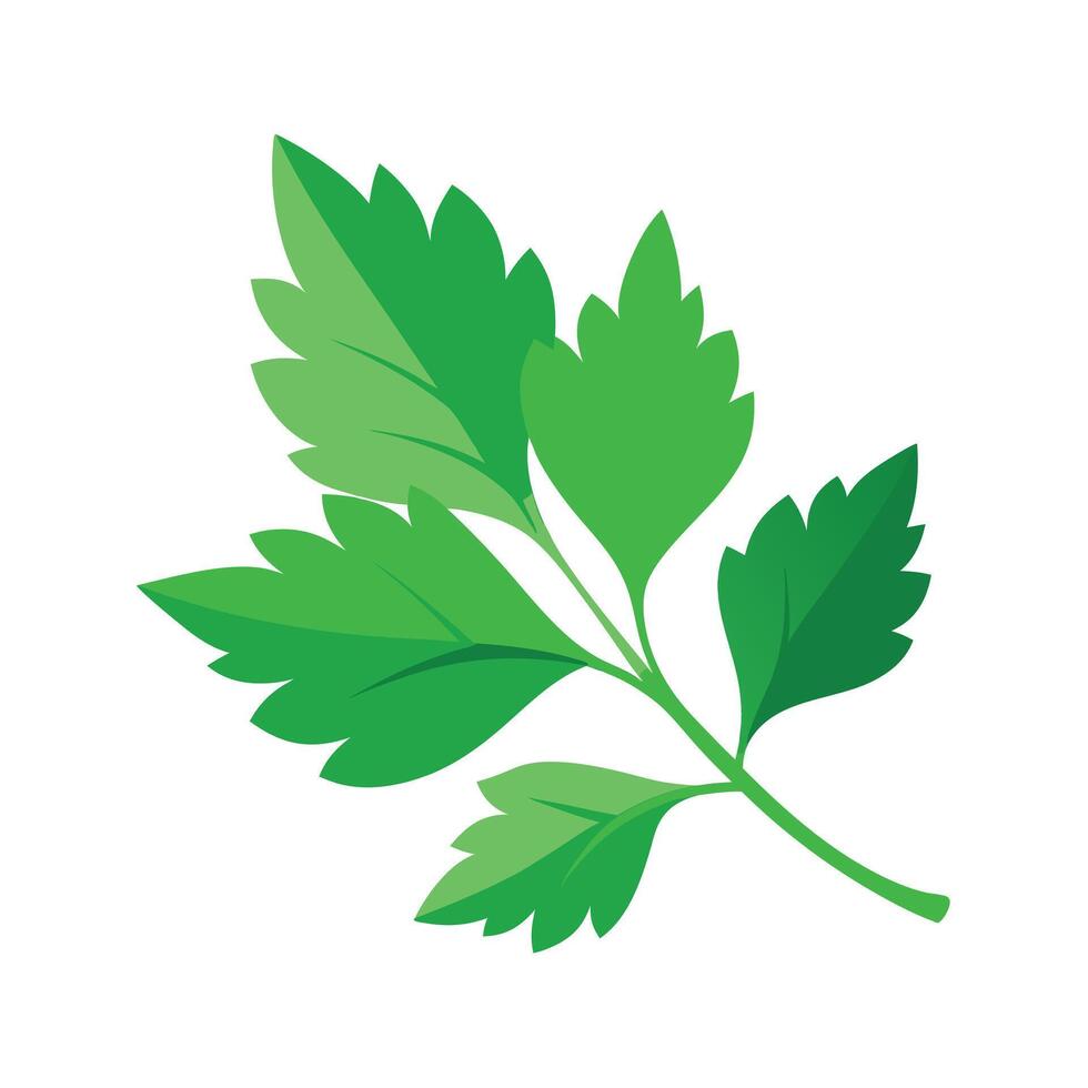 Realistic Beautiful Leaves Illustration vector