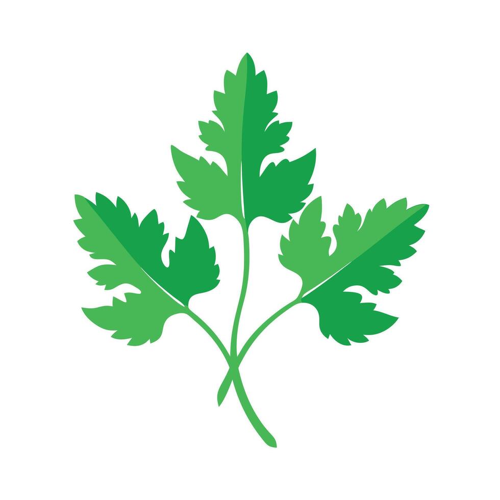 Realistic Beautiful Leaves Illustration vector