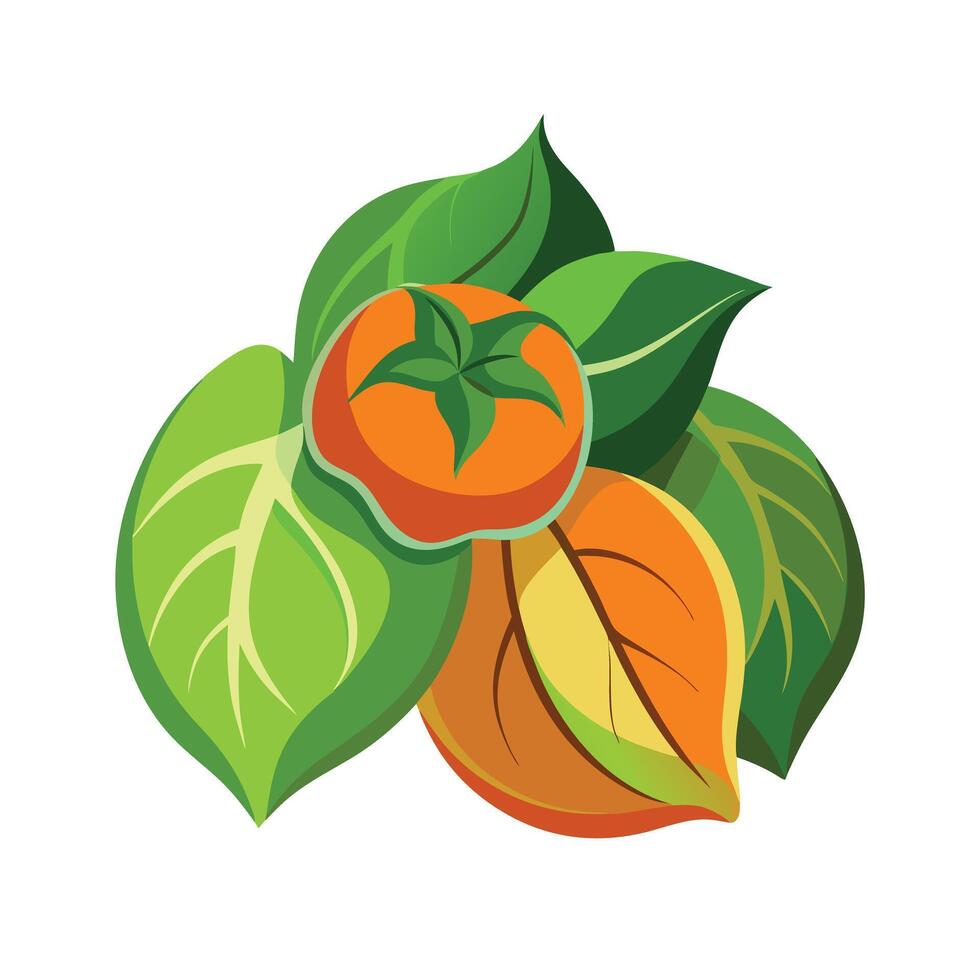 Realistic Beautiful Leaves Illustration vector