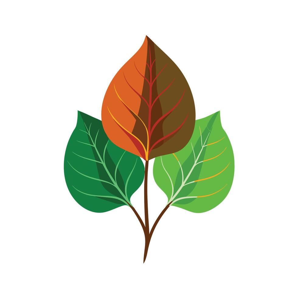Realistic Beautiful Leaves Illustration vector
