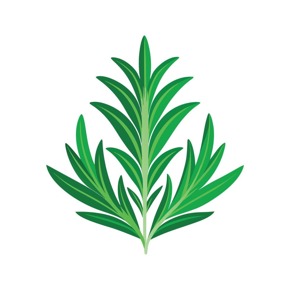 Realistic Beautiful Leaves Illustration vector