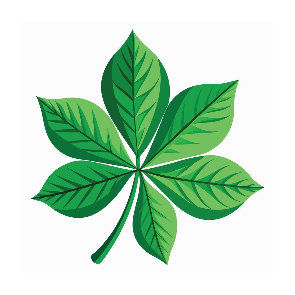 Realistic Beautiful Leaves Illustration vector
