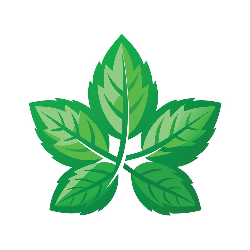 Realistic Beautiful Leaves Illustration vector
