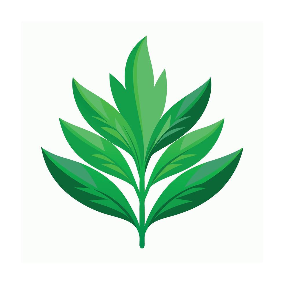 Realistic Beautiful Leaves Illustration vector