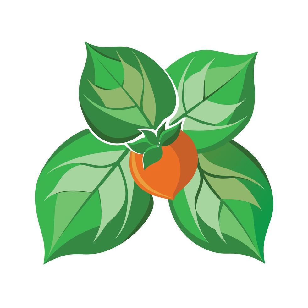 Realistic Beautiful Leaves Illustration vector