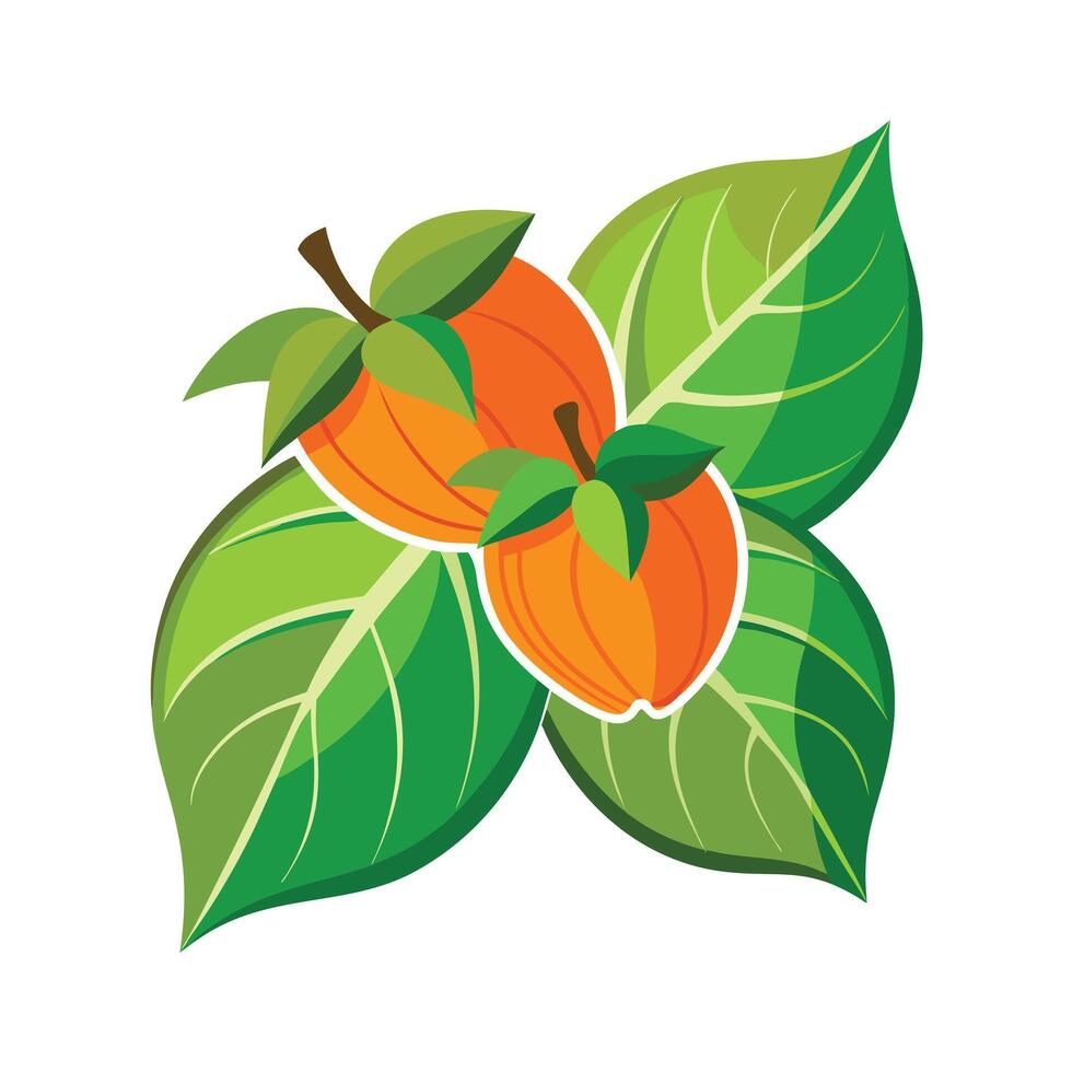 Realistic Beautiful Leaves Illustration vector